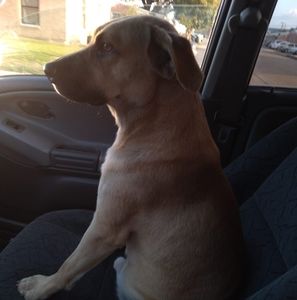 Meet your Posher, Elton